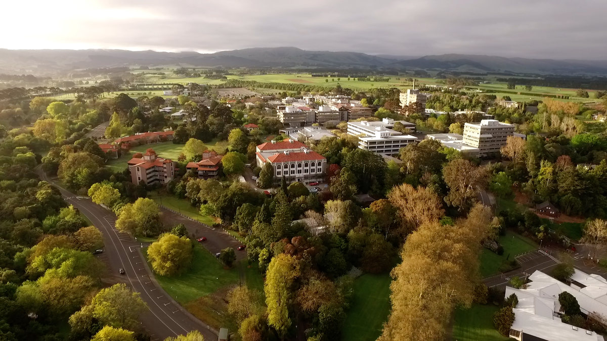 Massey University campus